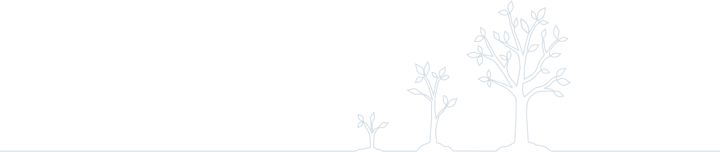 sse-advantages-bottom-decor